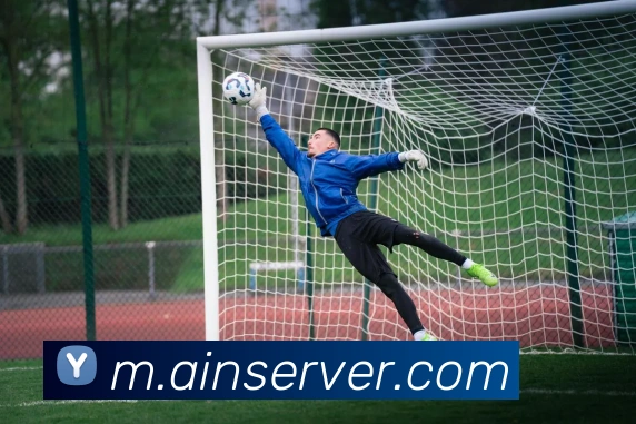 beat365在线官网平台生态图
